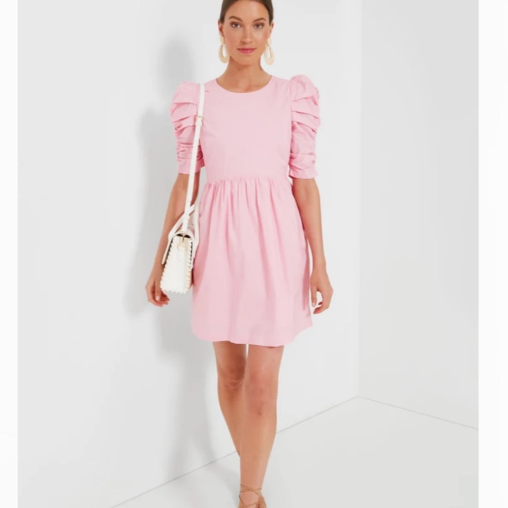 Tuckernuck Pink Puff-Sleeve Mini Dress